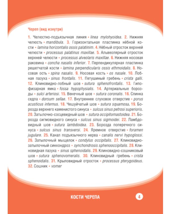 Анатомия человека. Кости черепа. Карточки + кольцо для стяжки карточек: наглядное учебное пособие