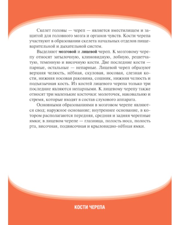 Анатомия человека. Кости черепа. Карточки + кольцо для стяжки карточек: наглядное учебное пособие