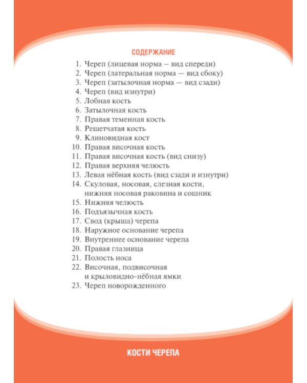 Анатомия человека. Кости черепа. Карточки + кольцо для стяжки карточек: наглядное учебное пособие