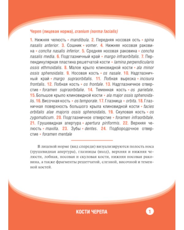 Анатомия человека. Кости черепа. Карточки + кольцо для стяжки карточек: наглядное учебное пособие