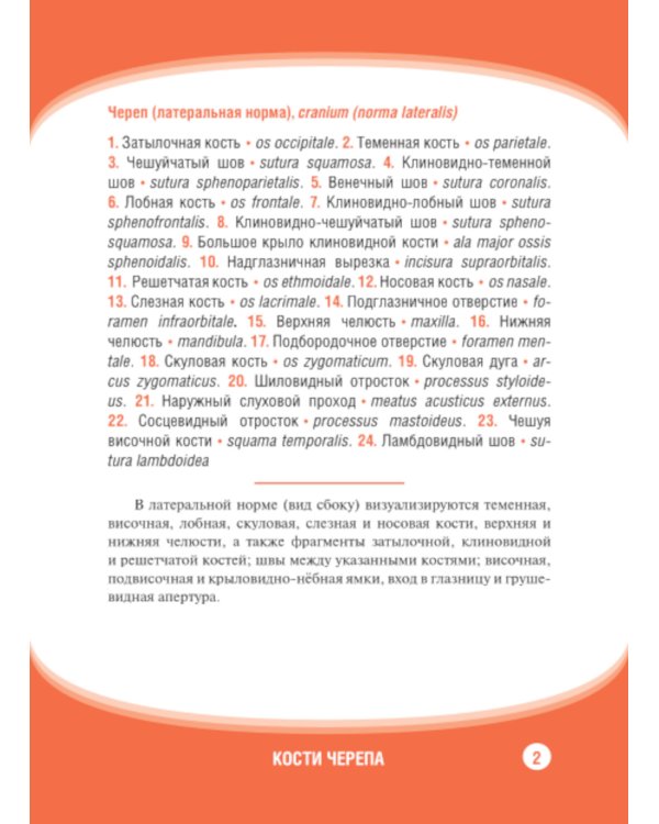 Анатомия человека. Кости черепа. Карточки + кольцо для стяжки карточек: наглядное учебное пособие