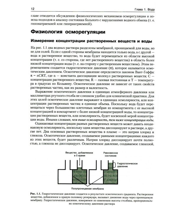 Патофизиология почки. 5-е изд., испр