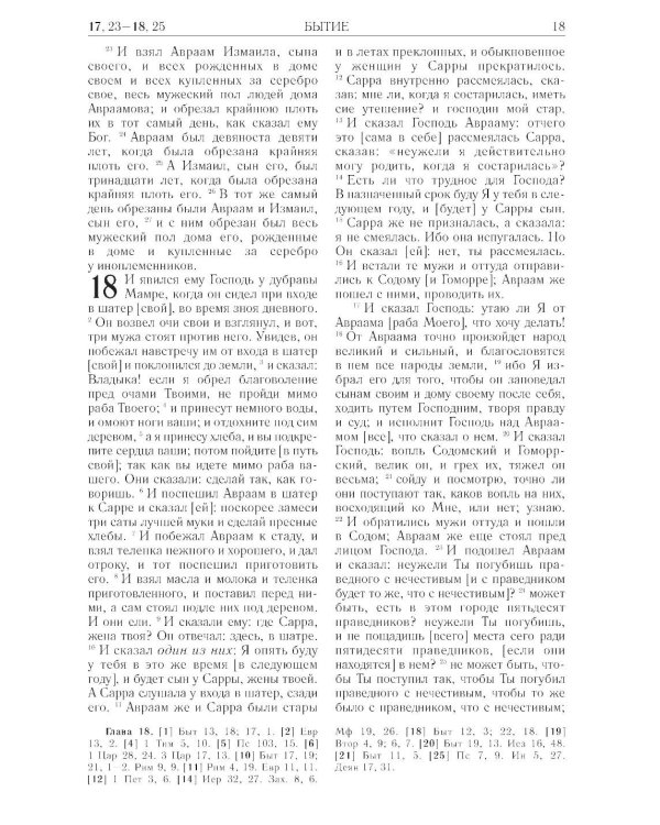 Библия. Книги Священного Писания Ветхого и Нового Завета (рециклированная кожа бордовая, молния, золот.обрез)