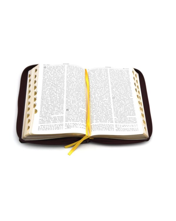 Библия. Книги Священного Писания Ветхого и Нового Завета (рециклированная кожа бордовая, молния, золот.обрез)