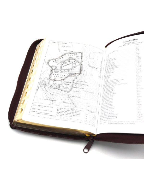 Библия. Книги Священного Писания Ветхого и Нового Завета (рециклированная кожа бордовая, молния, золот.обрез)