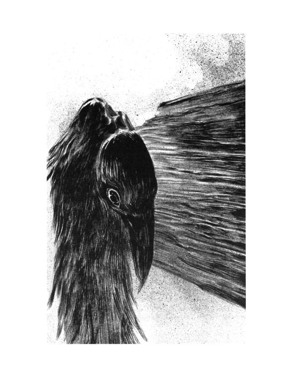 Странный гость: сборник