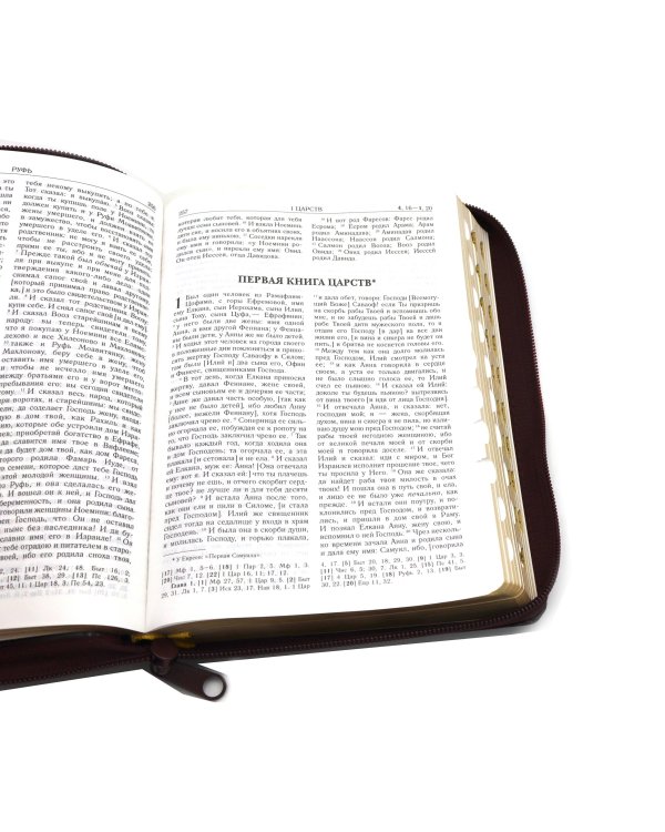 Библия. Книги Священного Писания Ветхого и Нового Завета (рециклированная кожа бордовая, молния, золот.обрез)