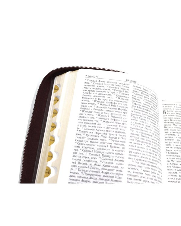 Библия. Книги Священного Писания Ветхого и Нового Завета (рециклированная кожа бордовая, молния, золот.обрез)