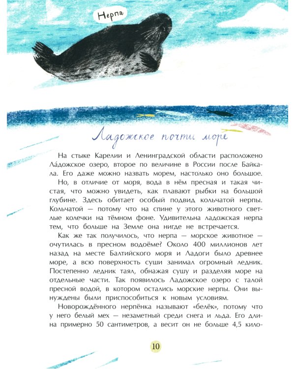 Карелия. Край рек, озёр и лесов