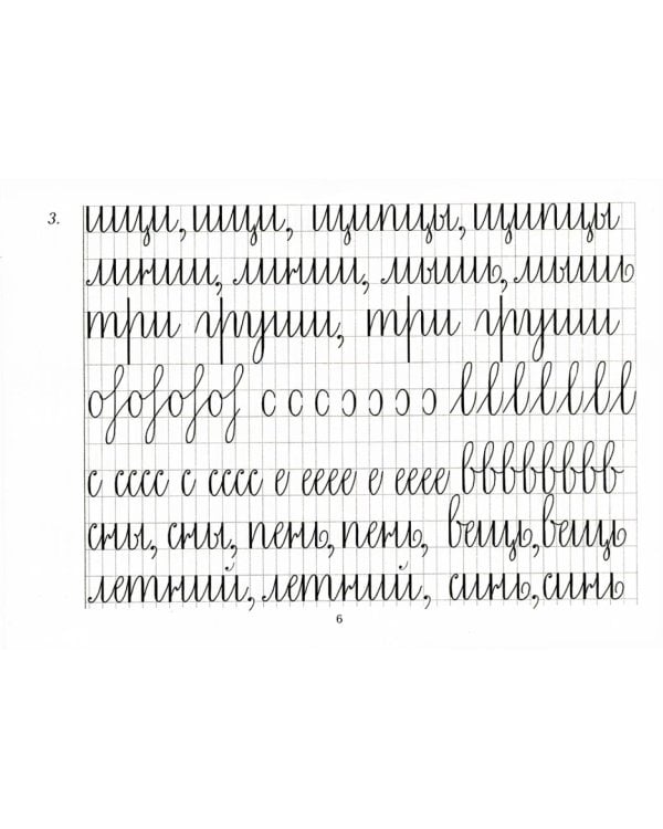 Репринтные прописи с калькой. Кн. 2 (к пособиям Е.И. Евсеева "Прописи для упражнения в прямом почерке", 1912 г. и Д.А. Писаревского "Почерк",1926 г.)