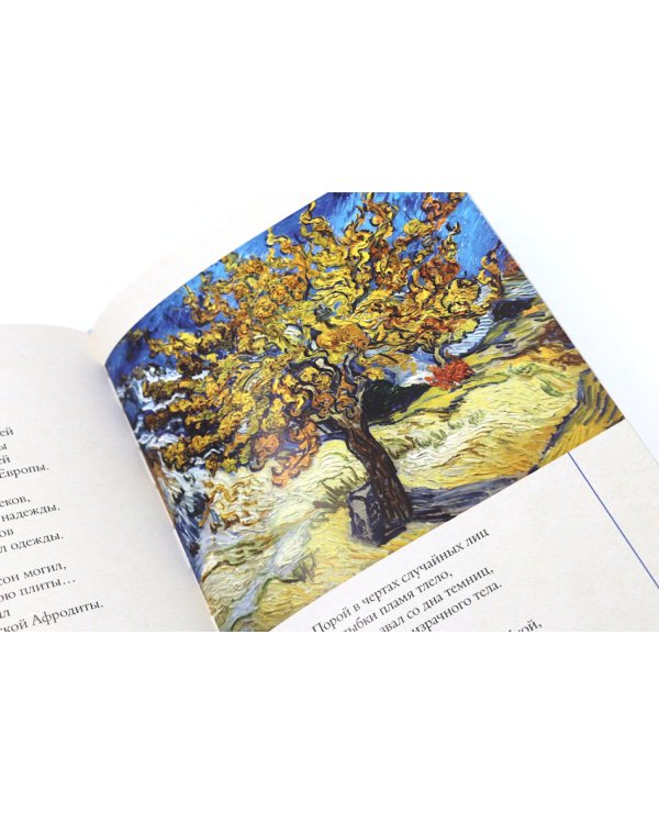 Золотой век. Серебряный век. Любовная лирика. (3 книги в футляре)