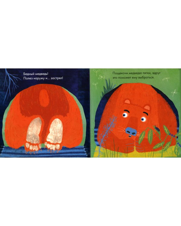 Бедный медведь