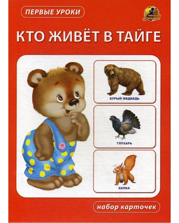 Кто живет в тайге. Набор карточек