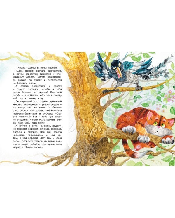 Где ночует солнышко?: сказки для малышей