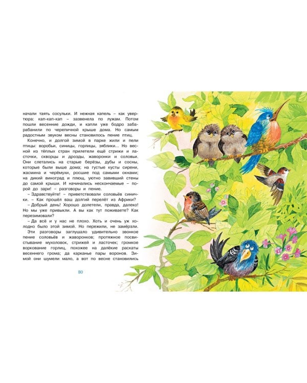 Где ночует солнышко?: сказки для малышей