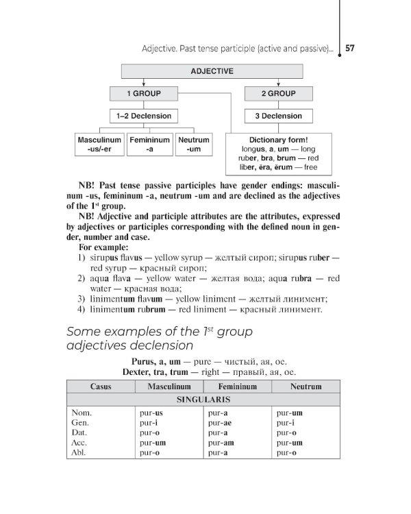 Lingua Latina Pharmaceutica: tutorial guide = Латинский язык для фармацевтов