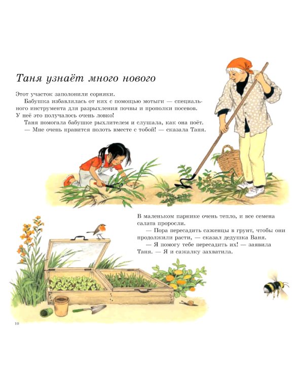 Как растут овощи?