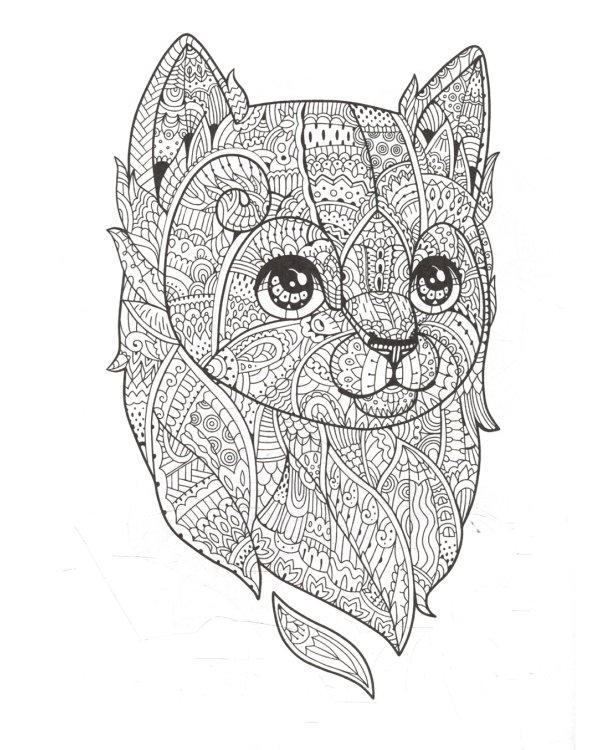 Очаровательные котята. Творческая раскраска