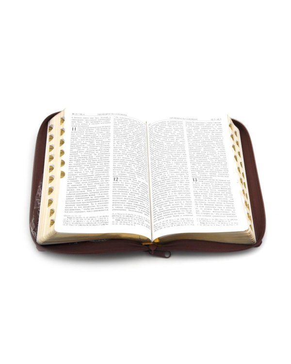 Библия. Книги Священного Писания Ветхого и Нового Завета (рециклированная кожа коричневая, молния, золот.обрез)