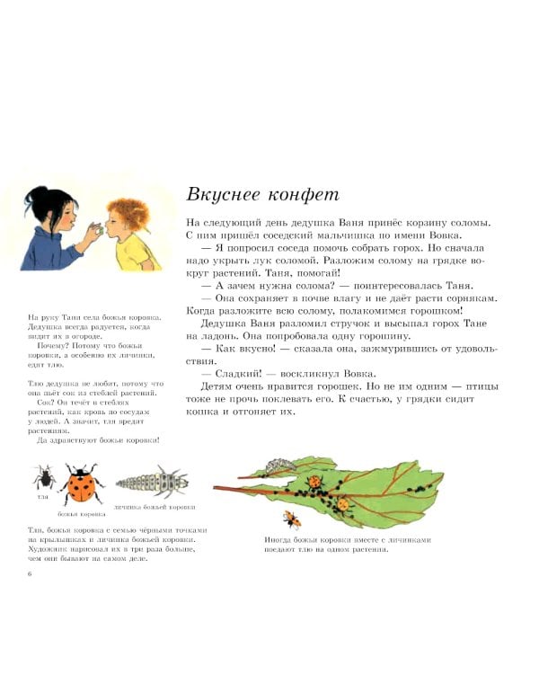 Как растут овощи?