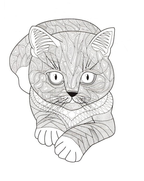 Очаровательные котята. Творческая раскраска