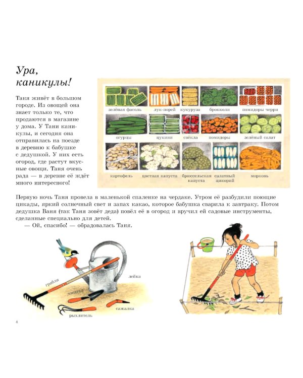 Как растут овощи?