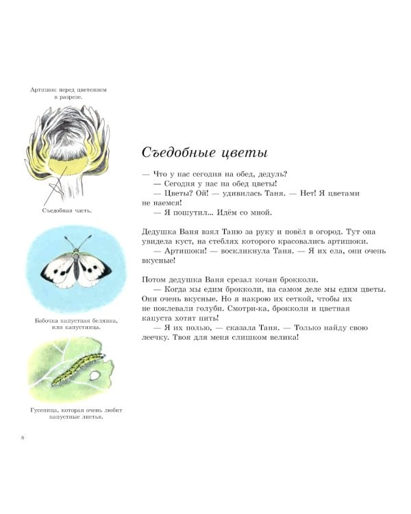 Как растут овощи?