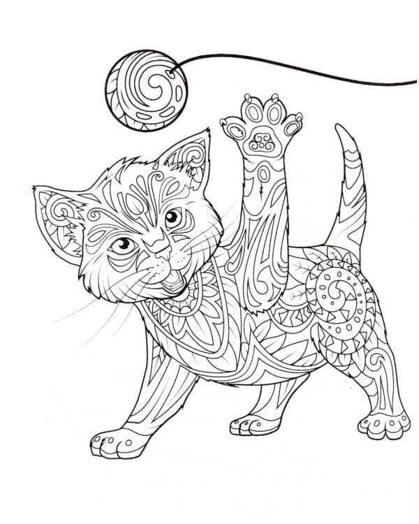 Очаровательные котята. Творческая раскраска