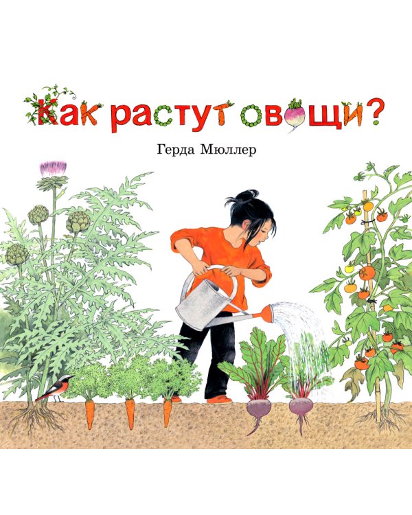 Как растут овощи?