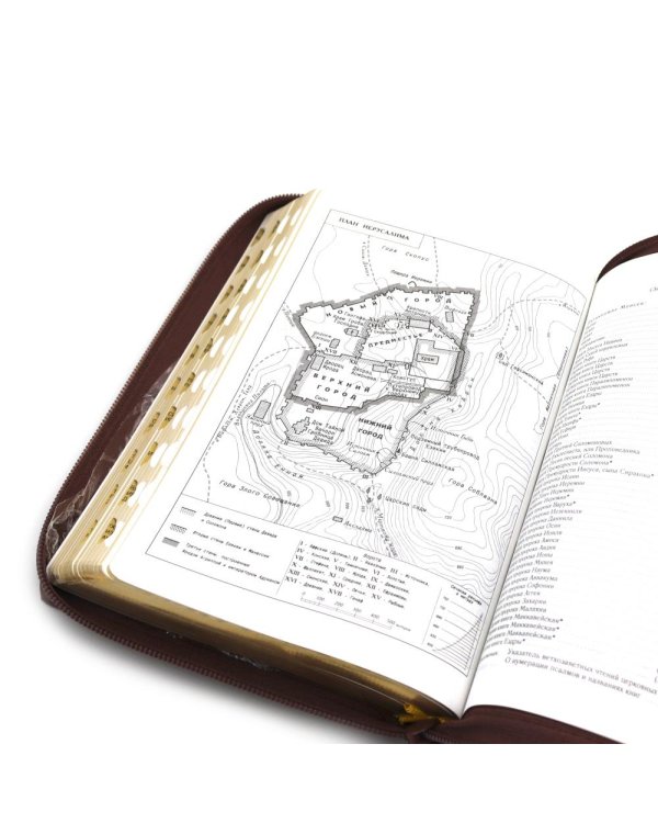 Библия. Книги Священного Писания Ветхого и Нового Завета (рециклированная кожа коричневая, молния, золот.обрез)