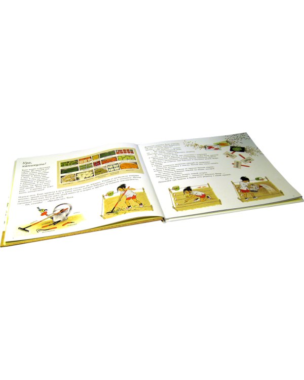 Как растут овощи?