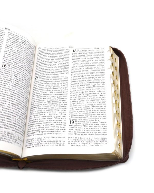 Библия. Книги Священного Писания Ветхого и Нового Завета (рециклированная кожа коричневая, молния, золот.обрез)