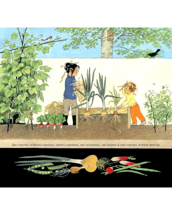 Как растут овощи?