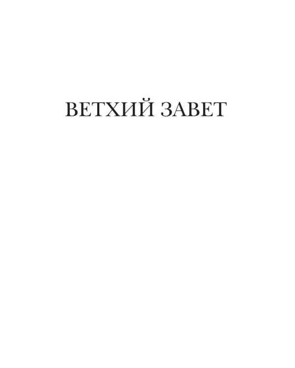 Библия. Книги Священного Писания Ветхого и Нового Завета (рециклированная кожа коричневая, молния, золот.обрез)