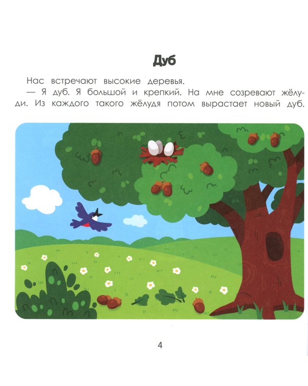 Лес. Энциклопедия для малышей в картинках