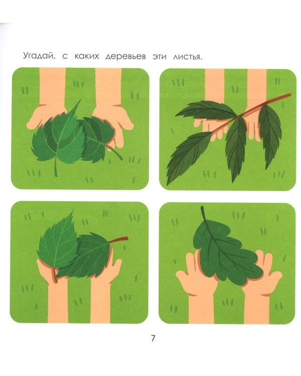 Лес. Энциклопедия для малышей в картинках