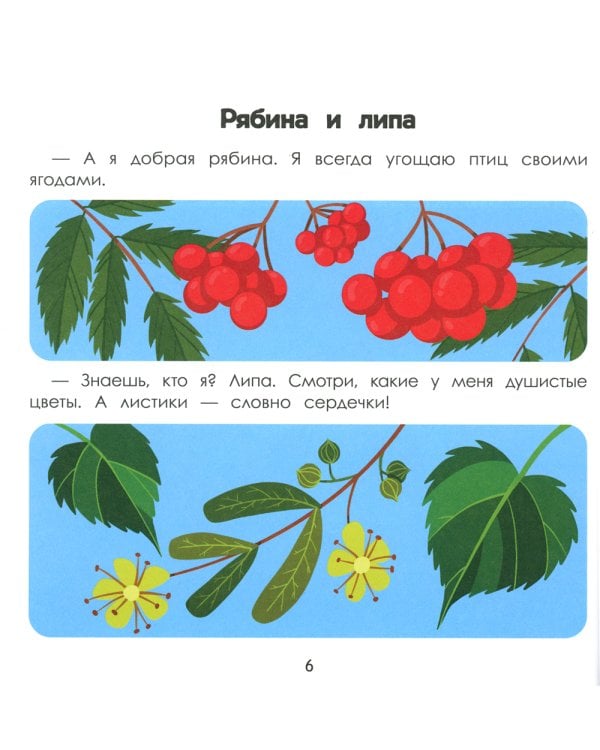 Лес. Энциклопедия для малышей в картинках