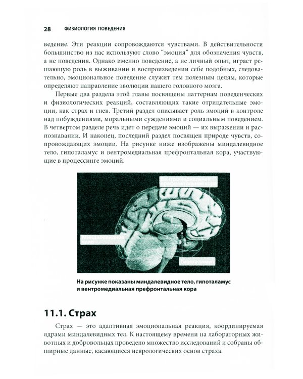 Физиология поведения, В 2 т. Т.2. 12-е изд