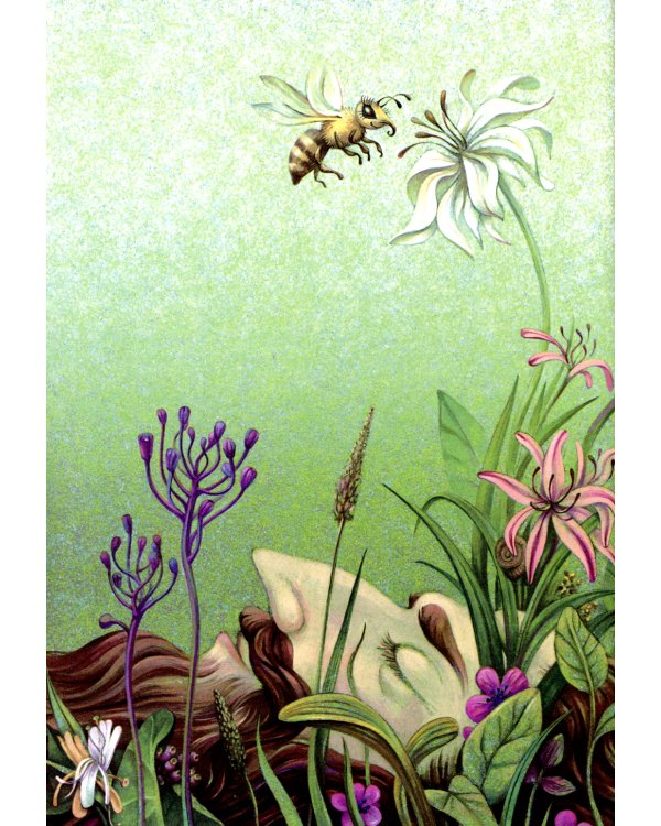 Волшебные сапоги Хонеима. Еврейские сказки