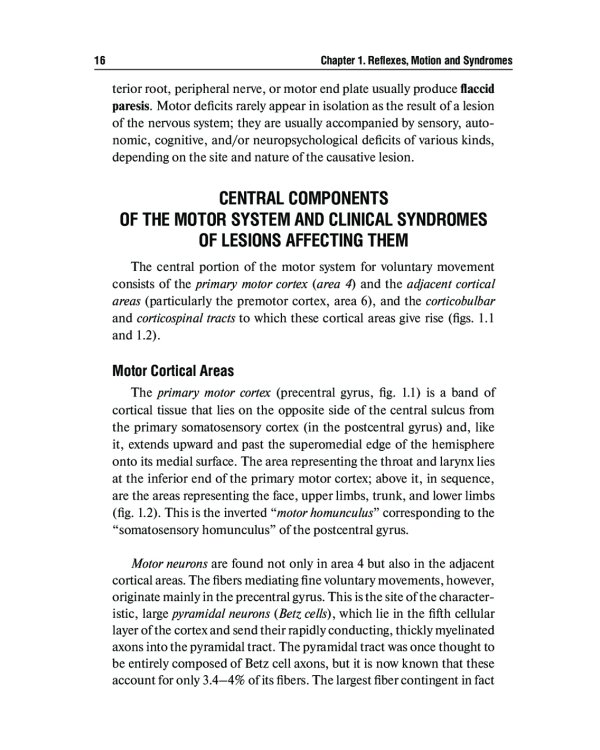 Топическая диагностика заболеваний нервной системы