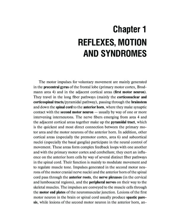 Топическая диагностика заболеваний нервной системы