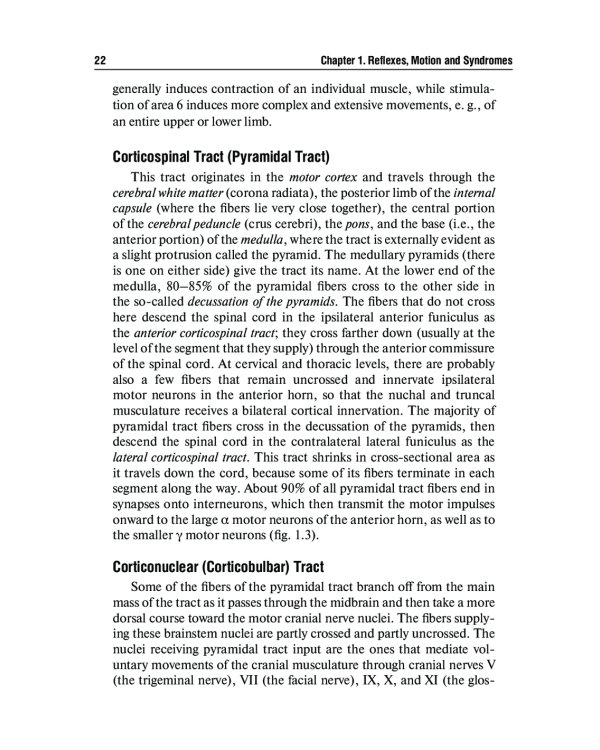 Топическая диагностика заболеваний нервной системы