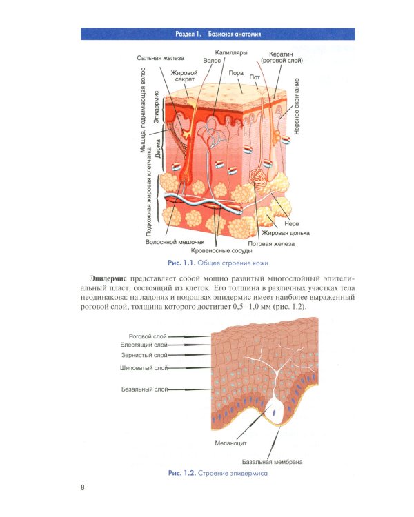 Массаж в медицинской реабилитации. Иллюстрированное учебное пособие