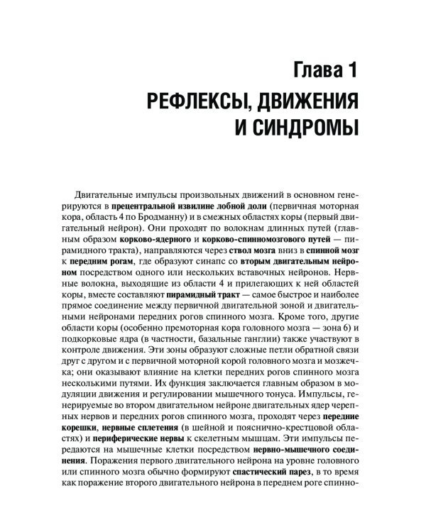 Топическая диагностика заболеваний нервной системы