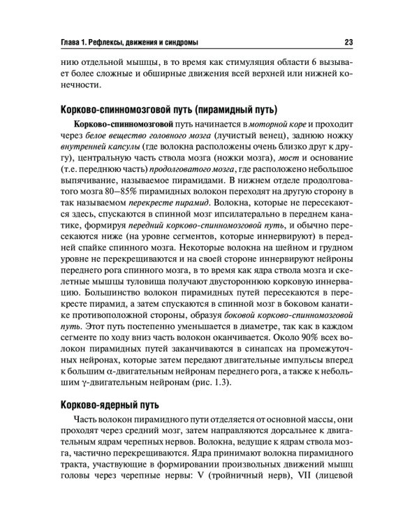 Топическая диагностика заболеваний нервной системы