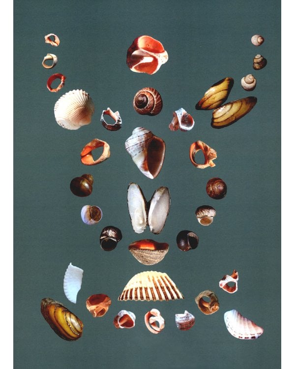 Алмазы-РА: литературно-художественный альбом