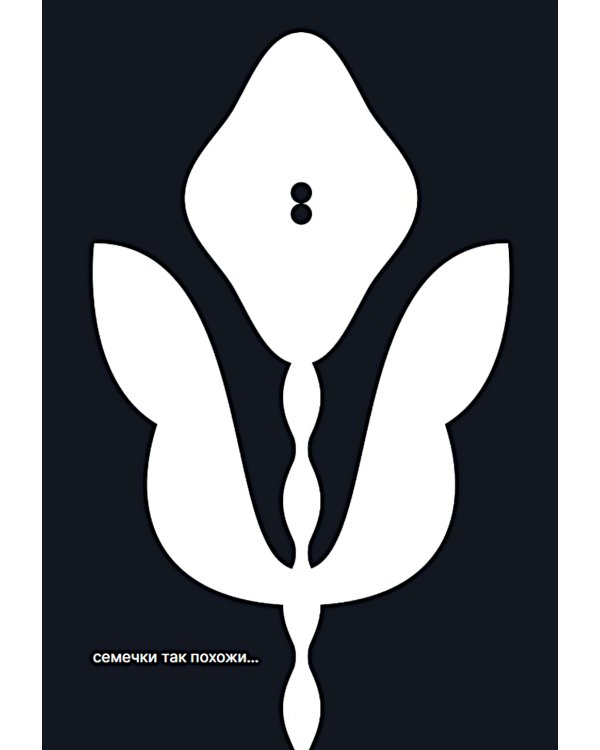 Как семечко становится цветочным полем