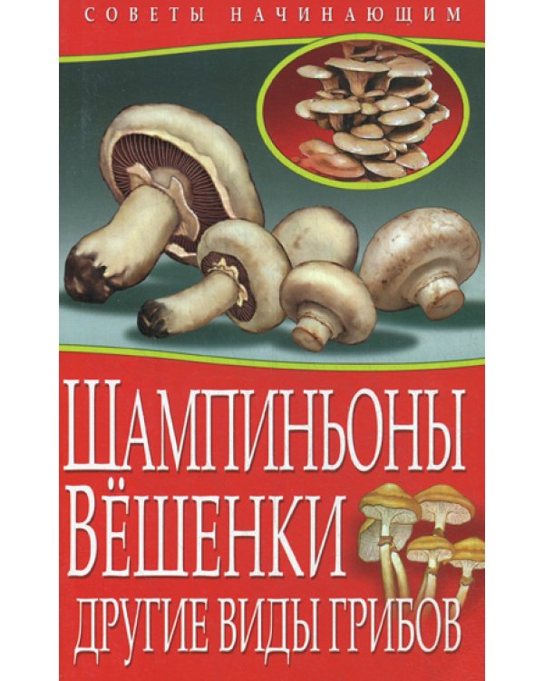 Советы начинающим. Шампиньоны. Вешенки. Другие виды грибов