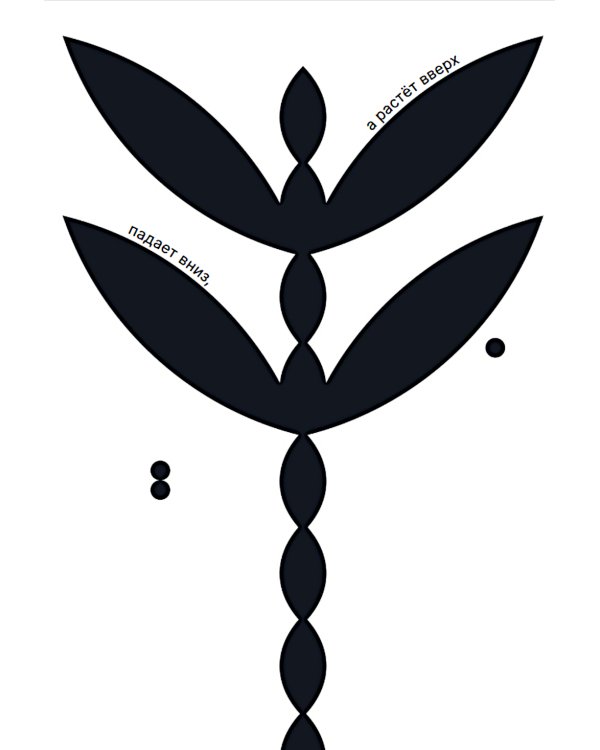 Как семечко становится цветочным полем