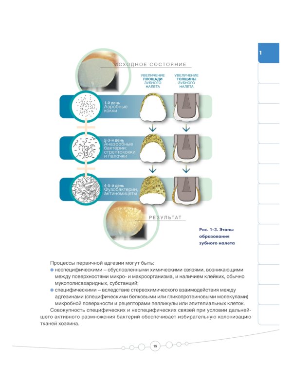 Профилактическая стоматология: Учебник. 2-е изд., перераб